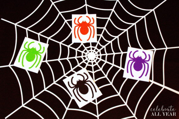 Pin the Spider on the Web